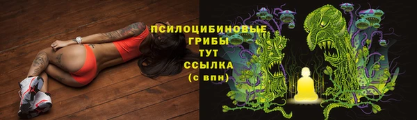 а пвп мука Богородск