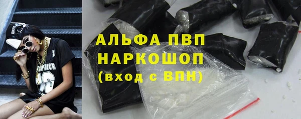 ешки Бородино