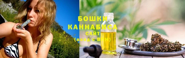 дурь Богородицк