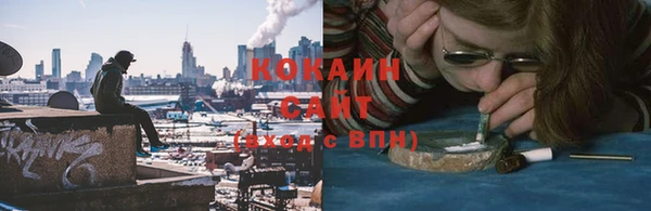 дурь Богородицк