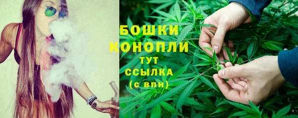 mdpv Богданович