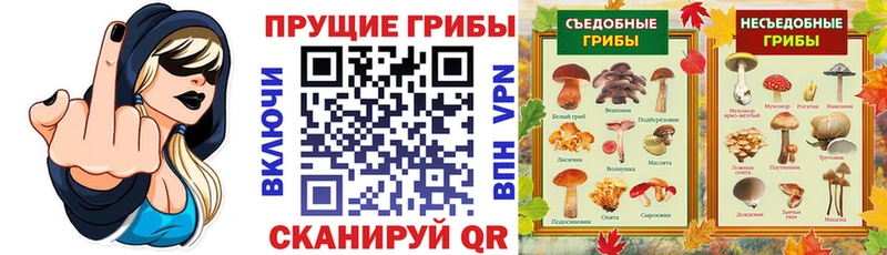 hydra сайт  darknet официальный сайт  Галлюциногенные грибы MAGIC MUSHROOMS  Вологда 